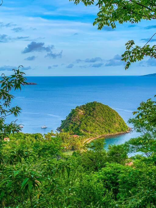 Villa Ker Iguane Terre De Haut Les Saintes Eksteriør billede