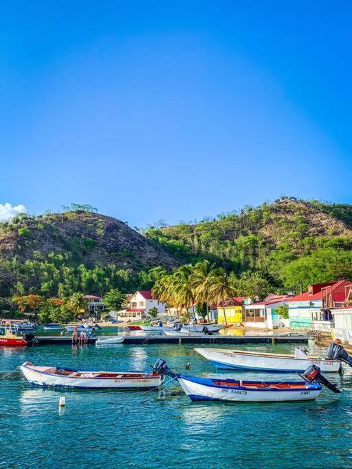Villa Ker Iguane Terre De Haut Les Saintes Eksteriør billede
